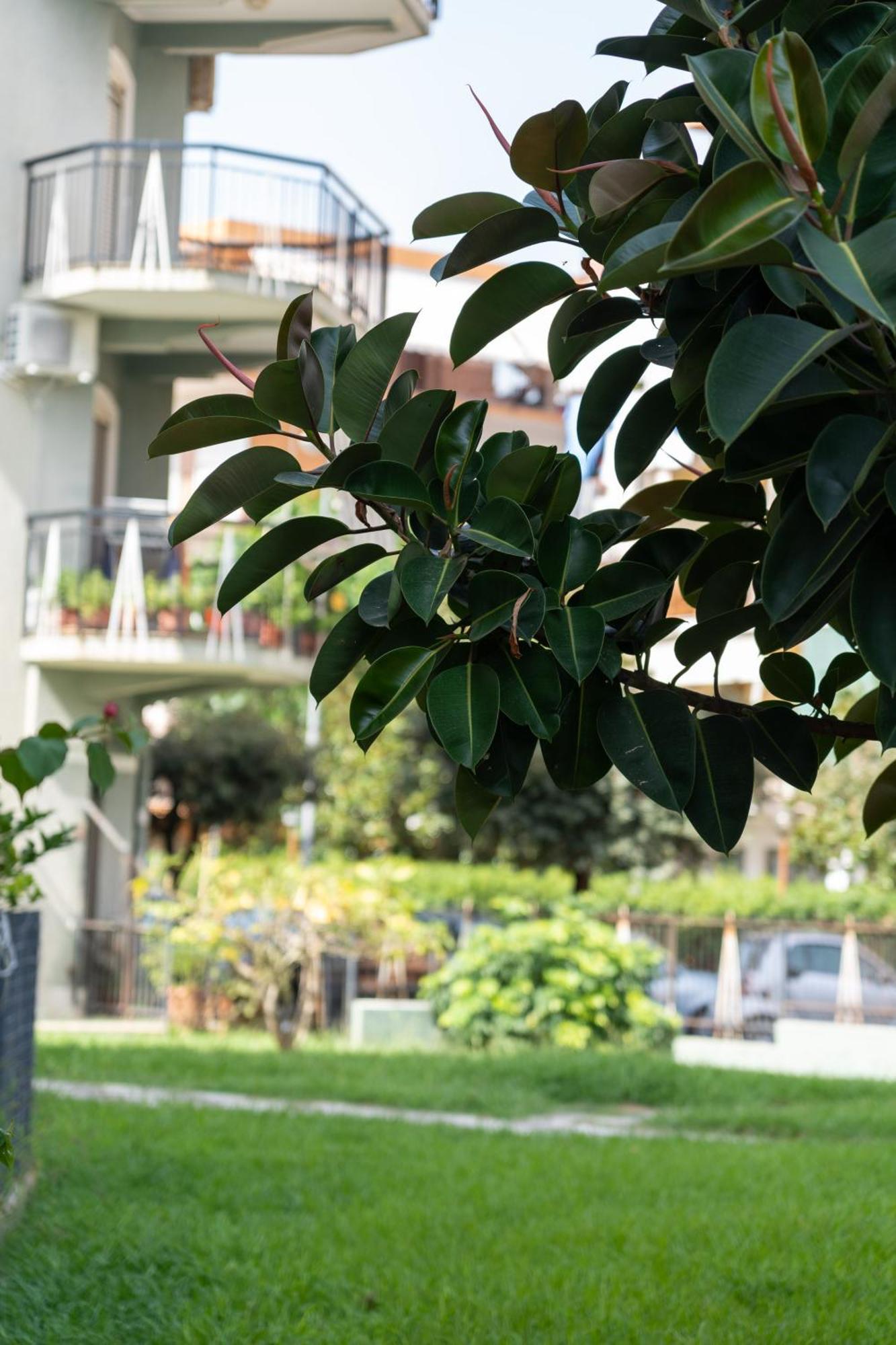 Savastano'S Home Scalea Εξωτερικό φωτογραφία